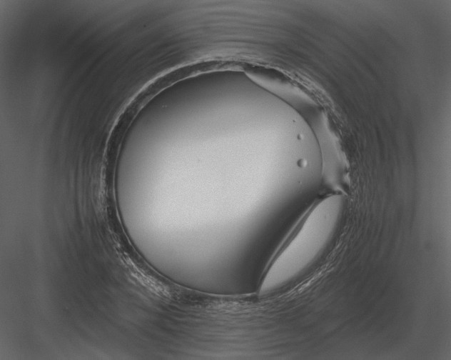 X0000083000880200702230124