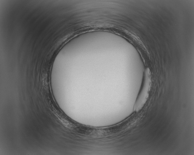 X0000083000881200702230124