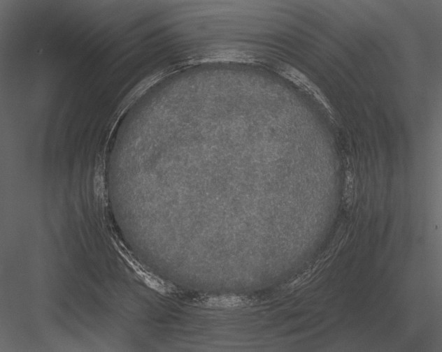 X0000083000882200702230124