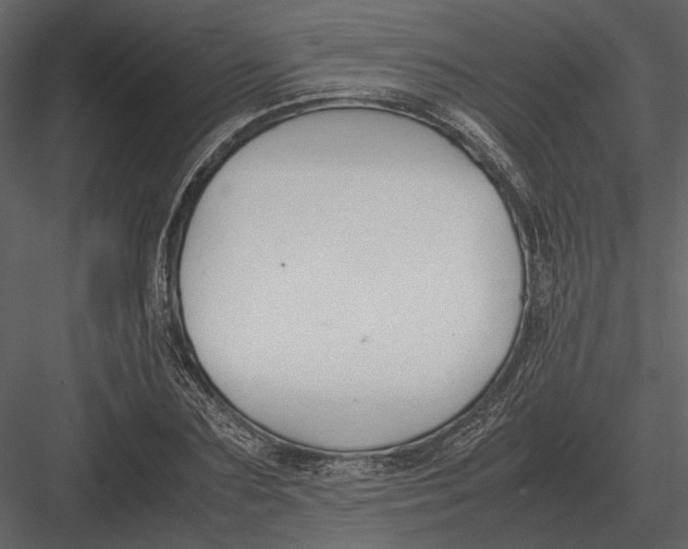 X0000083000883200702230124