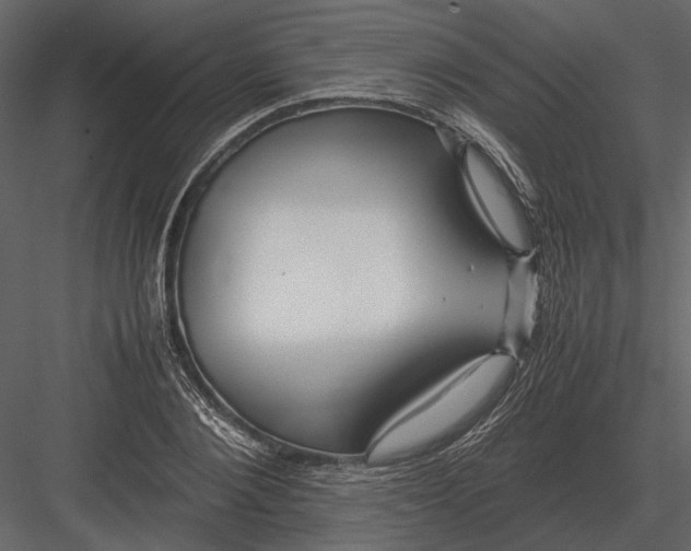 X0000083000884200702230124