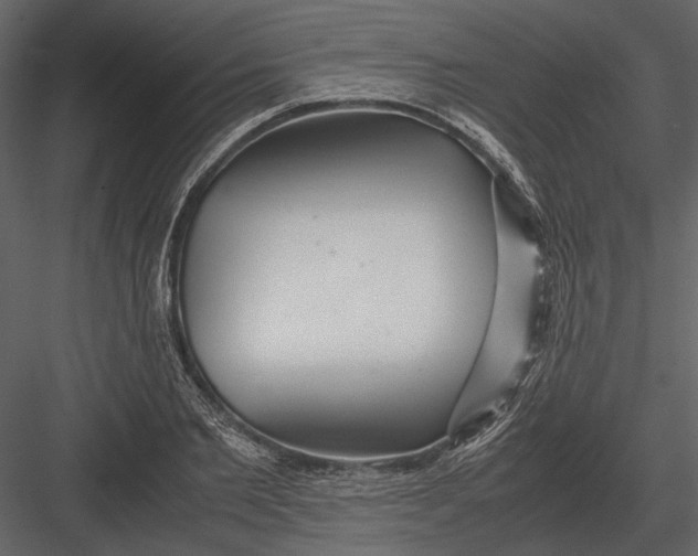 X0000083000885200702230124