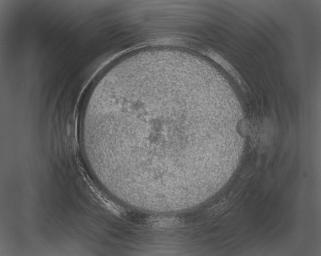 X0000083000886200702230124