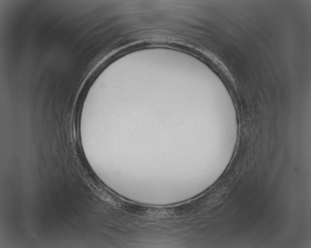 X0000083000887200702230124