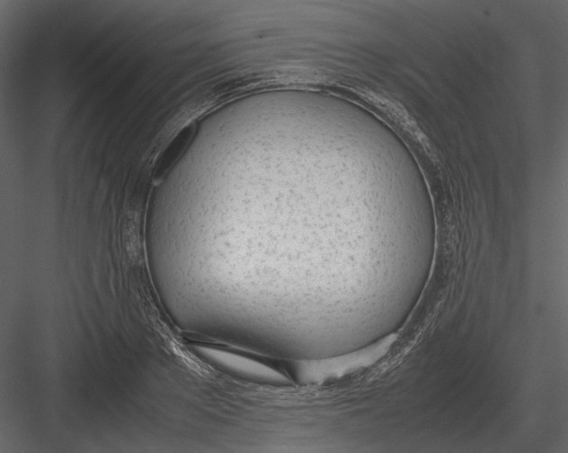 X0000083000889200702230124