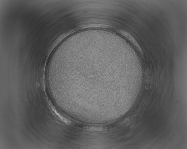 X0000083000890200702230124