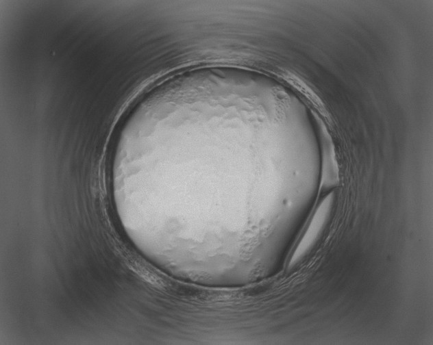 X0000083000891200702230124