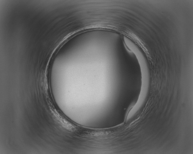 X0000083000892200702230124