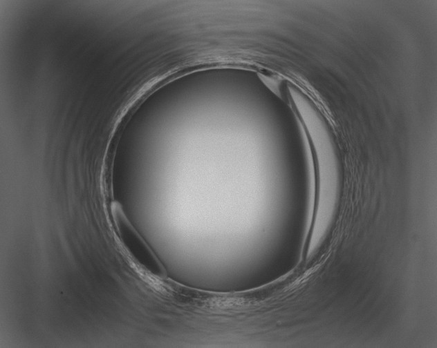 X0000083000893200702230123