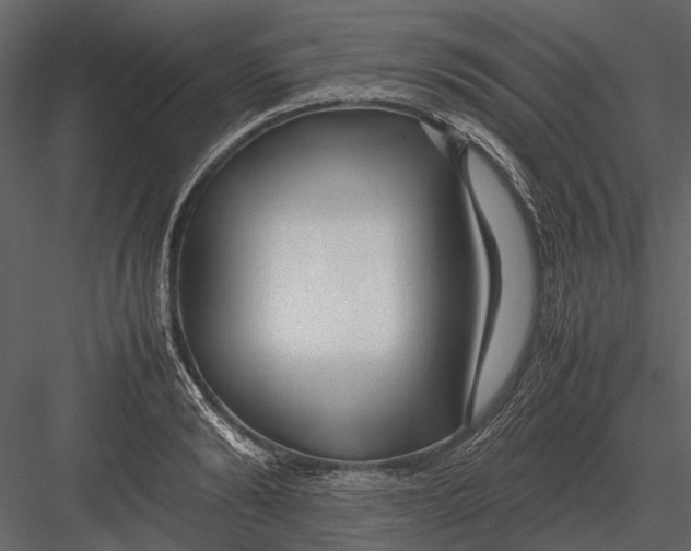 X0000083000894200702230123