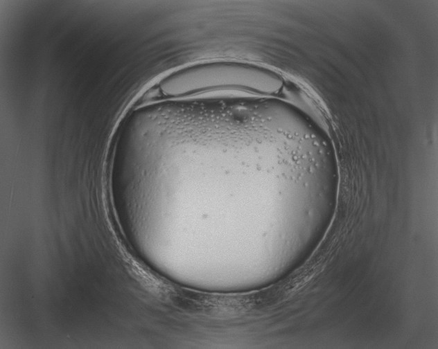 X0000083000895200702230123