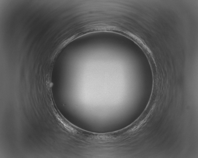 X0000083000897200702230123