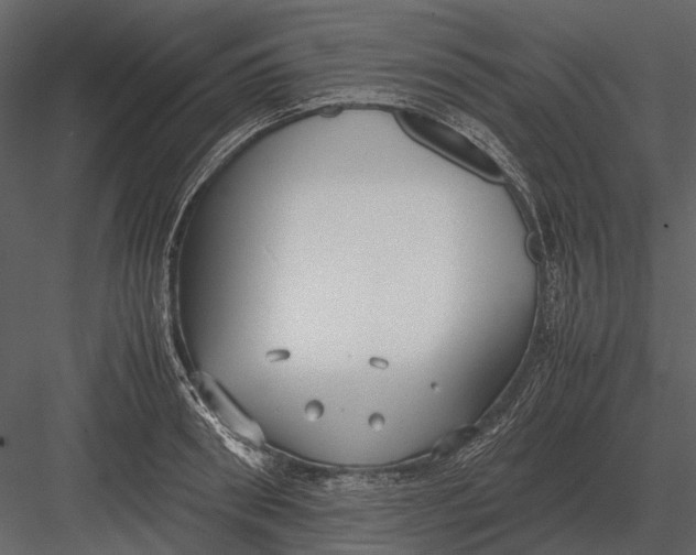 X0000083000898200702230123