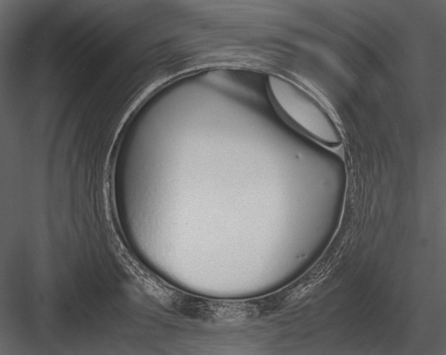 X0000083000899200702230123