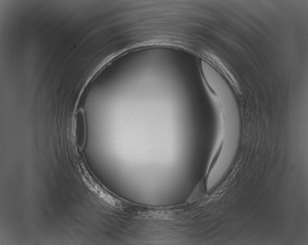 X0000083000900200702230123