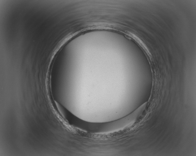 X0000083000901200702230123