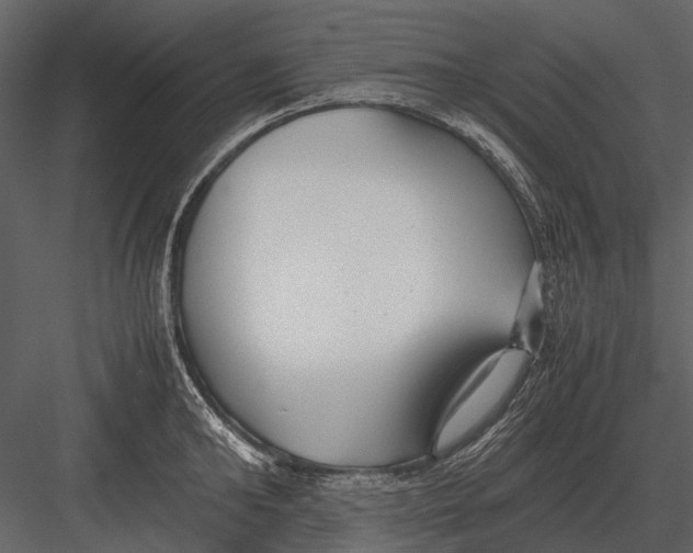 X0000083000902200702230123