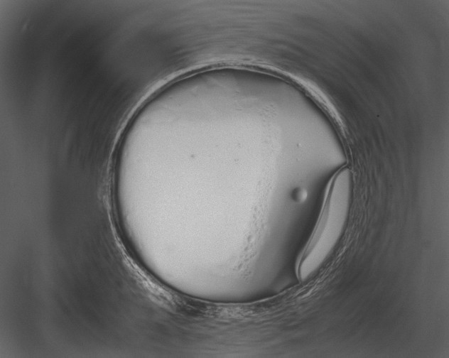 X0000083000903200702230123