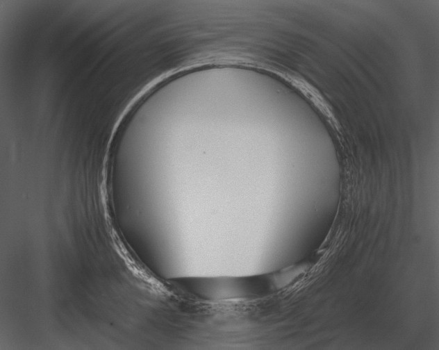 X0000083000904200702230123