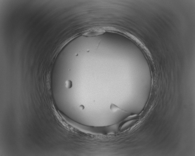 X0000083000905200702230123