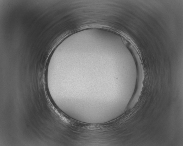 X0000083000906200702230123