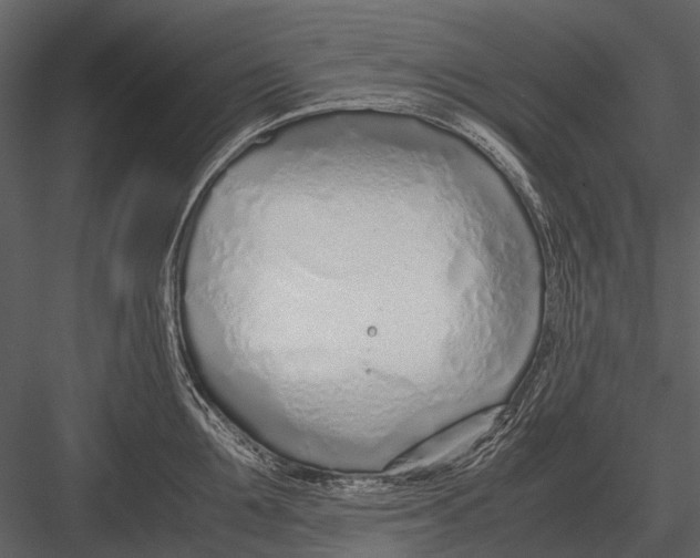 X0000083000907200702230123