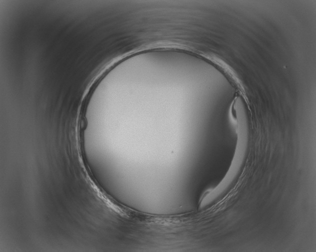 X0000083000910200702230123