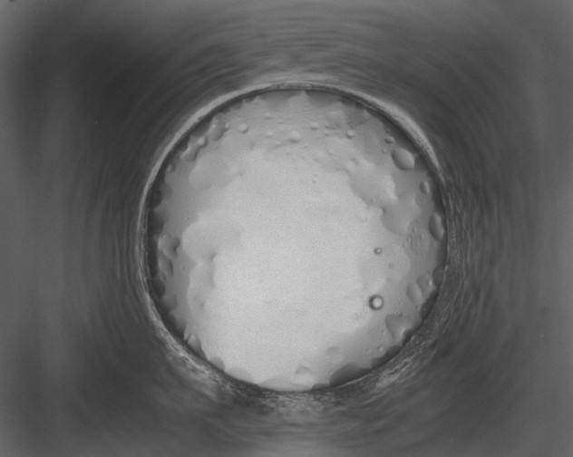 X0000083000911200702230123