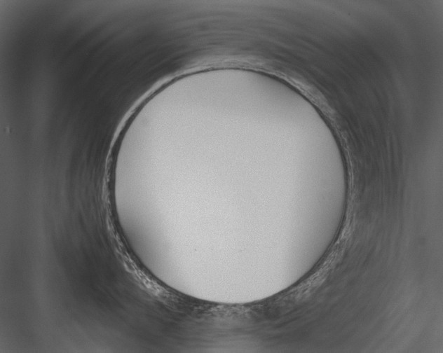 X0000083000912200702230123