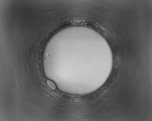 X0000083000913200702230122