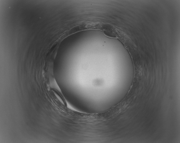 X0000083000914200702230122