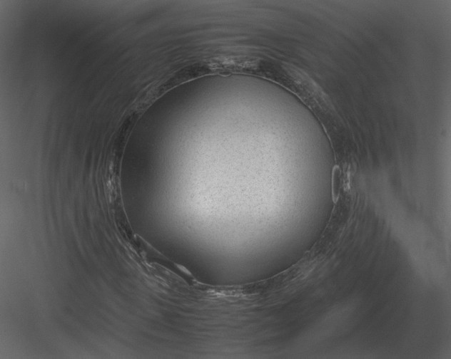 X0000083000915200702230122