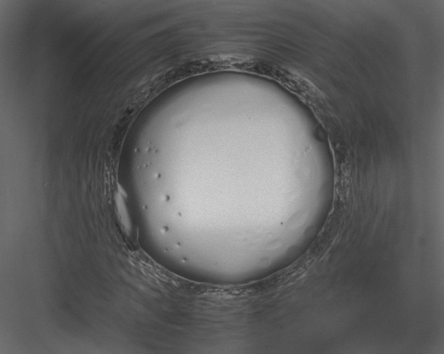 X0000083000917200702230122