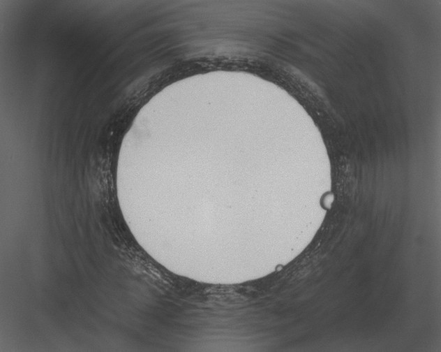 X0000083000918200702230122