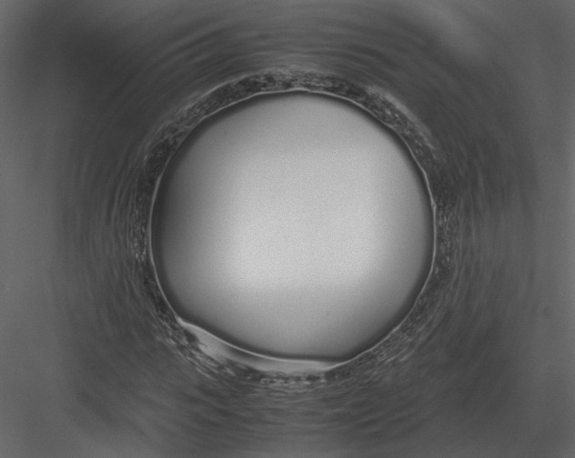 X0000083000919200702230122