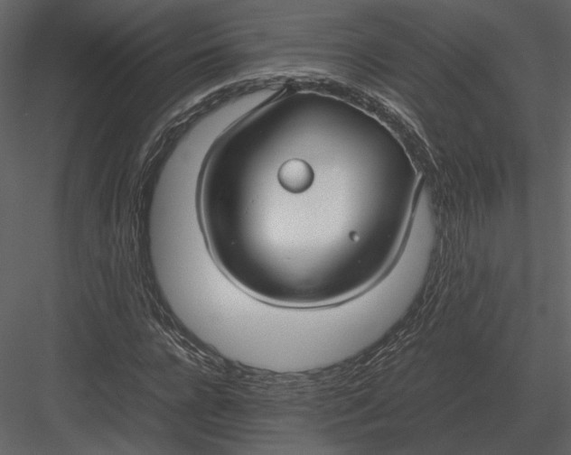 X0000083000920200702230122