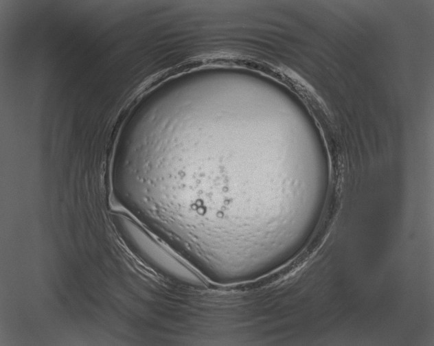 X0000083000921200702230122