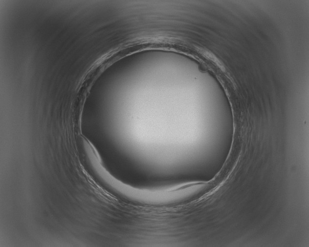 X0000083000922200702230122