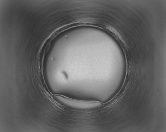 X0000083000923200702230123