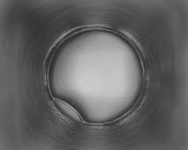 X0000083000925200702230123