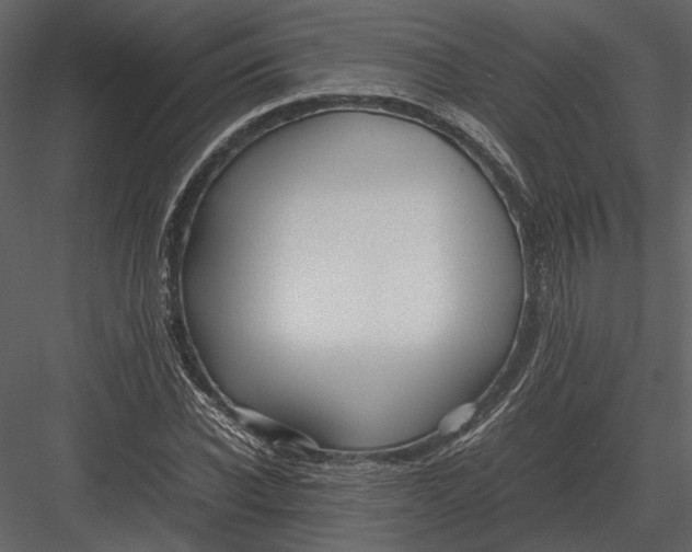 X0000083000926200702230123