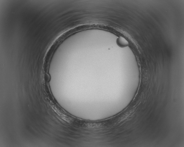 X0000083000927200702230123