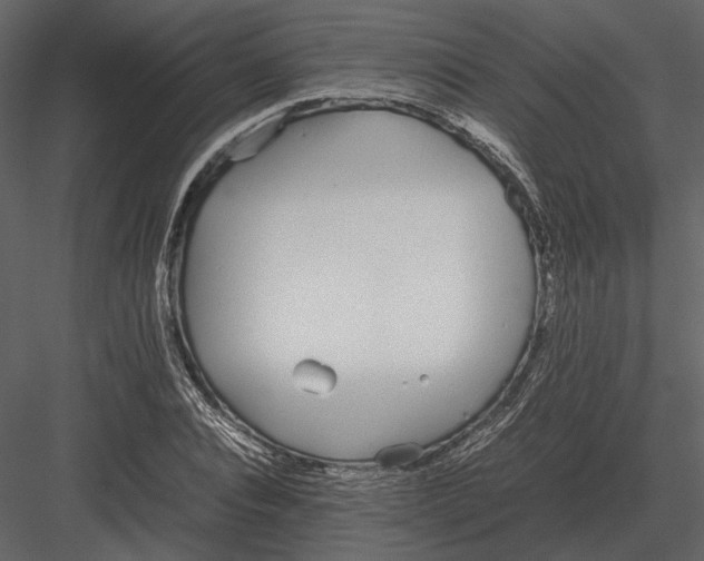 X0000083000928200702230123