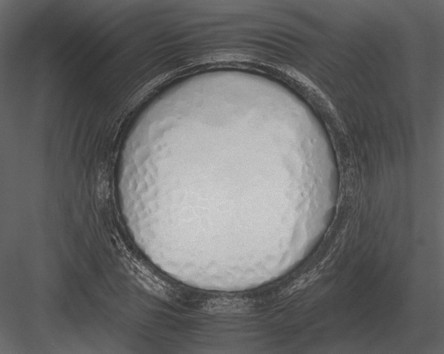 X0000083000929200702230123