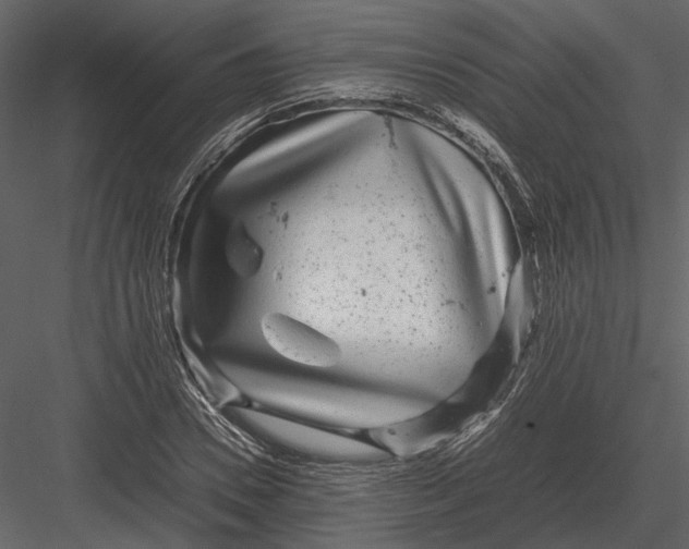 X0000083000930200702230123