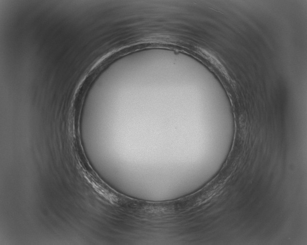 X0000083000931200702230123