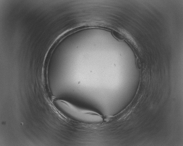 X0000083000932200702230123