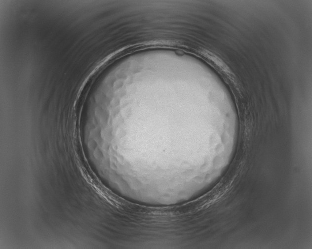 X0000083000933200702230123