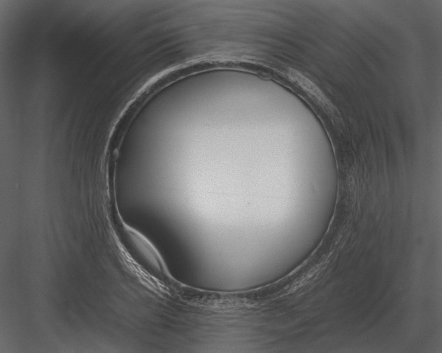 X0000083000934200702230123