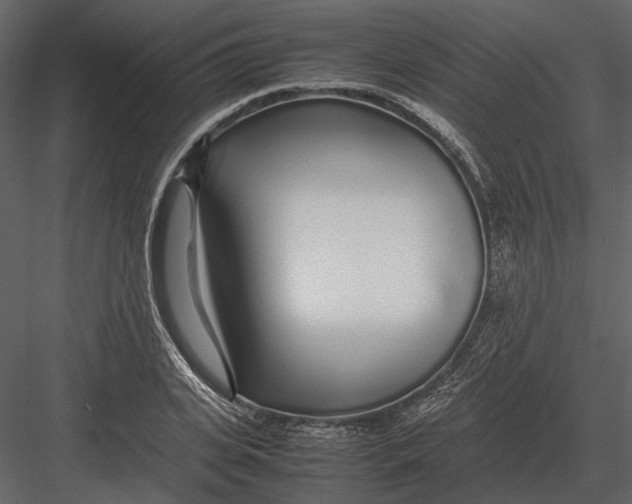 X0000083000935200702230123